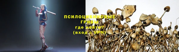 прущая мука Алзамай