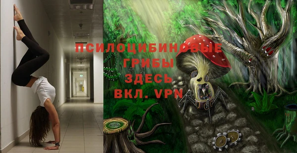 прущая мука Алзамай