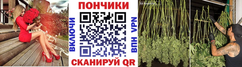 Конопля Amnesia Боготол